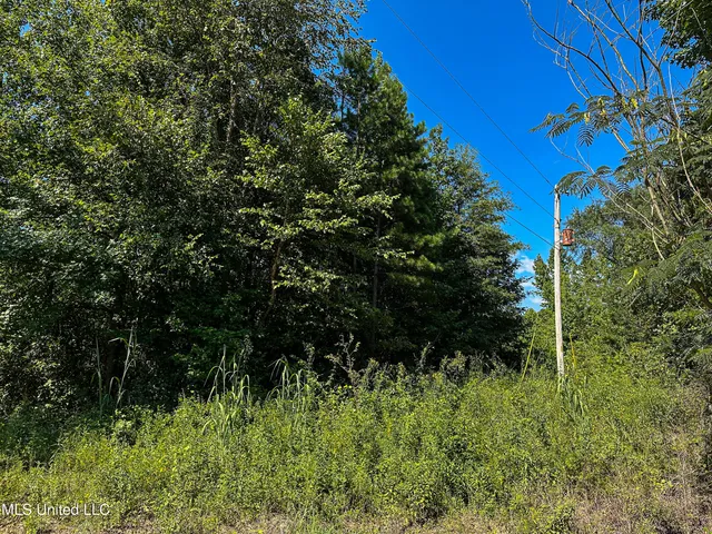 $355,000 | 2295 Chapman Road, Falkner, MS 38629