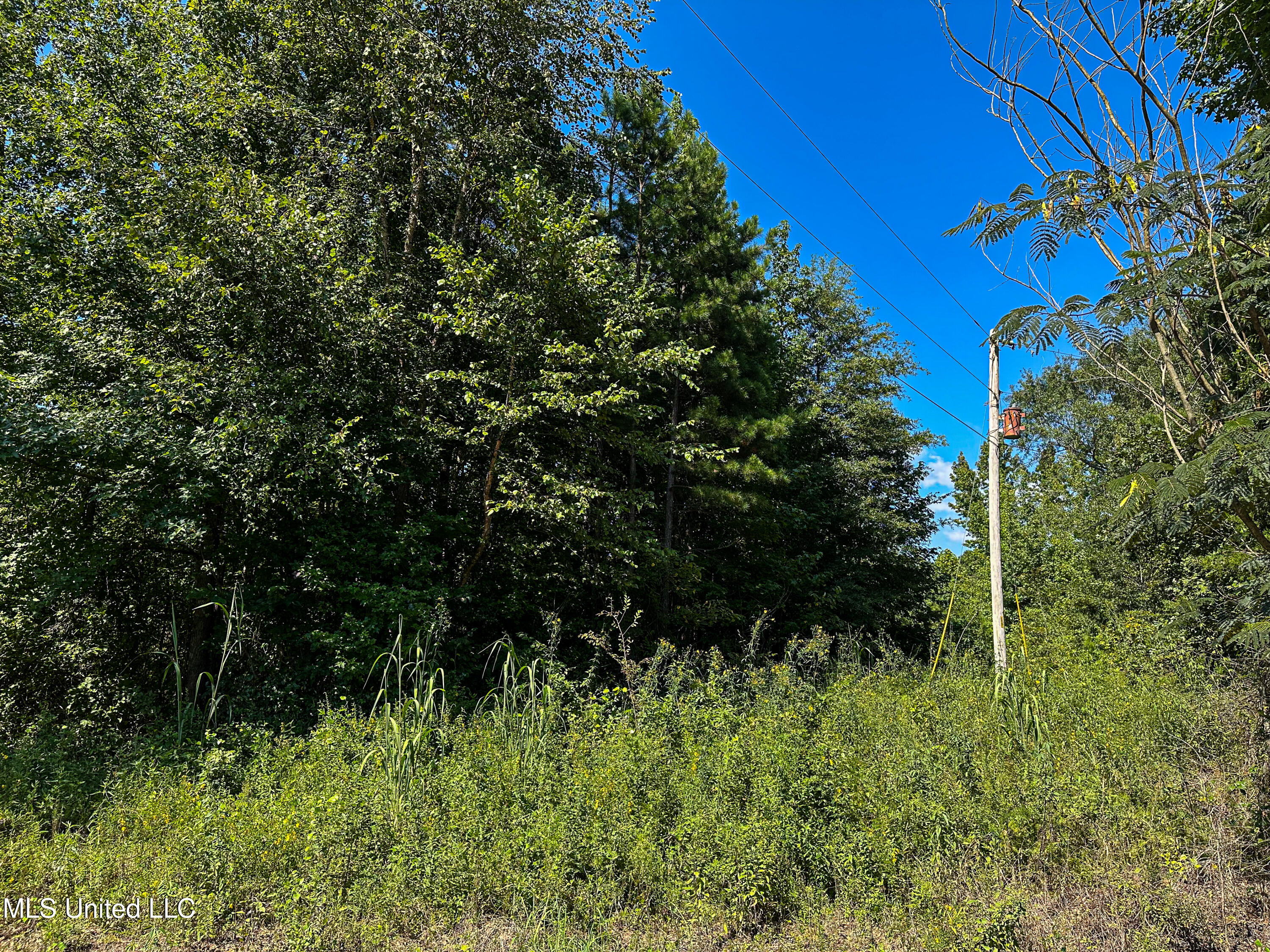 2295 Chapman Road Falkner, MS 38629 - Photo 20 of 48 IMG_5701