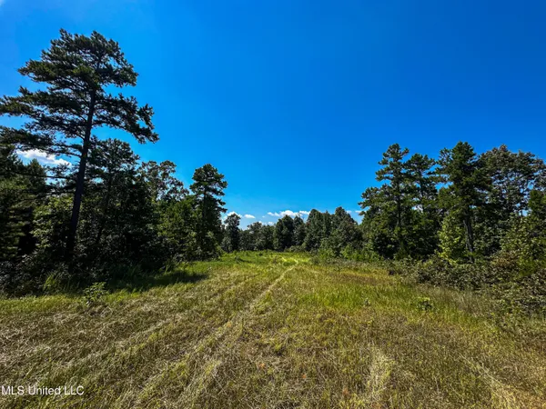 $355,000 | 2295 Chapman Road, Falkner, MS 38629