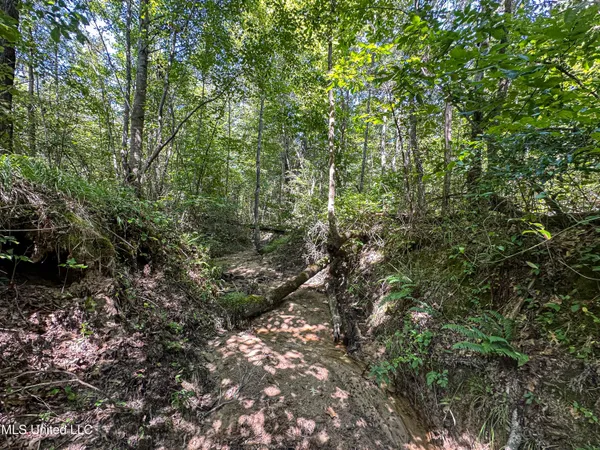 $355,000 | 2295 Chapman Road, Falkner, MS 38629