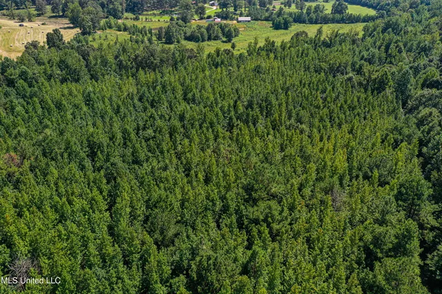 $355,000 | 2295 Chapman Road, Falkner, MS 38629