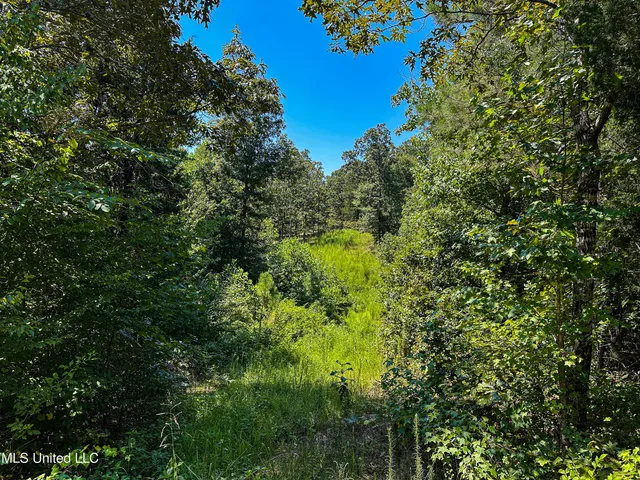 $355,000 | 2295 Chapman Road, Falkner, MS 38629