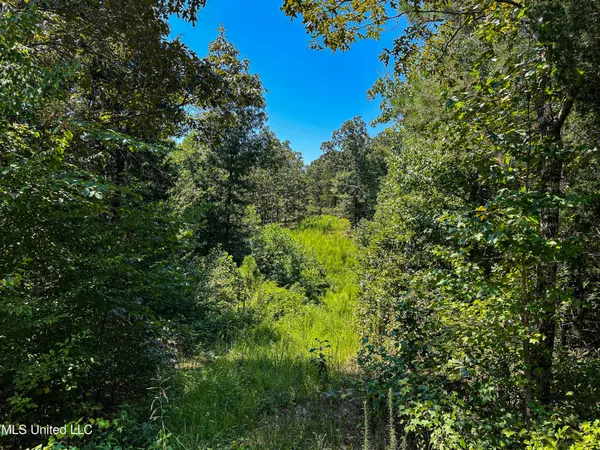 $355,000 | 2295 Chapman Road, Falkner, MS 38629