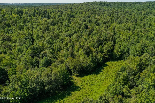 $355,000 | 2295 Chapman Road, Falkner, MS 38629