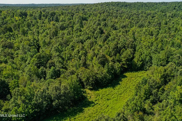 $355,000 | 2295 Chapman Road, Falkner, MS 38629