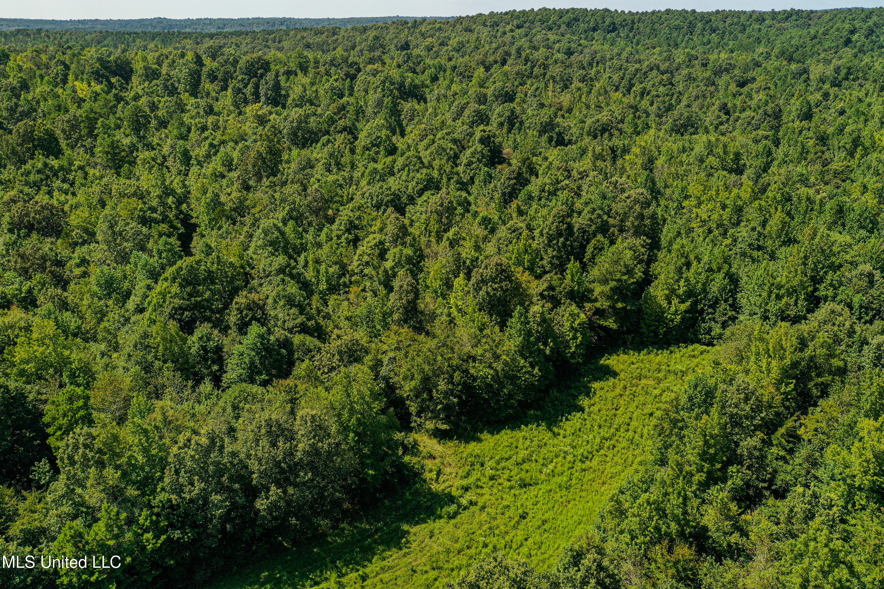 2295 Chapman Road Falkner, MS 38629 - Photo 26 of 48 DJI_0406