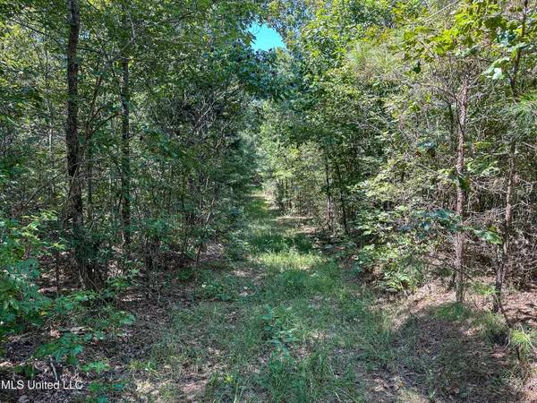 $355,000 | 2295 Chapman Road, Falkner, MS 38629