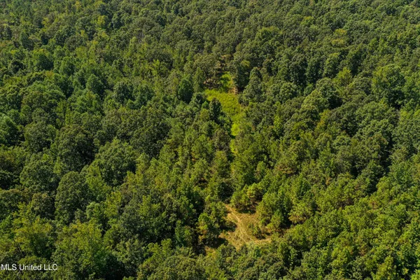 $355,000 | 2295 Chapman Road, Falkner, MS 38629