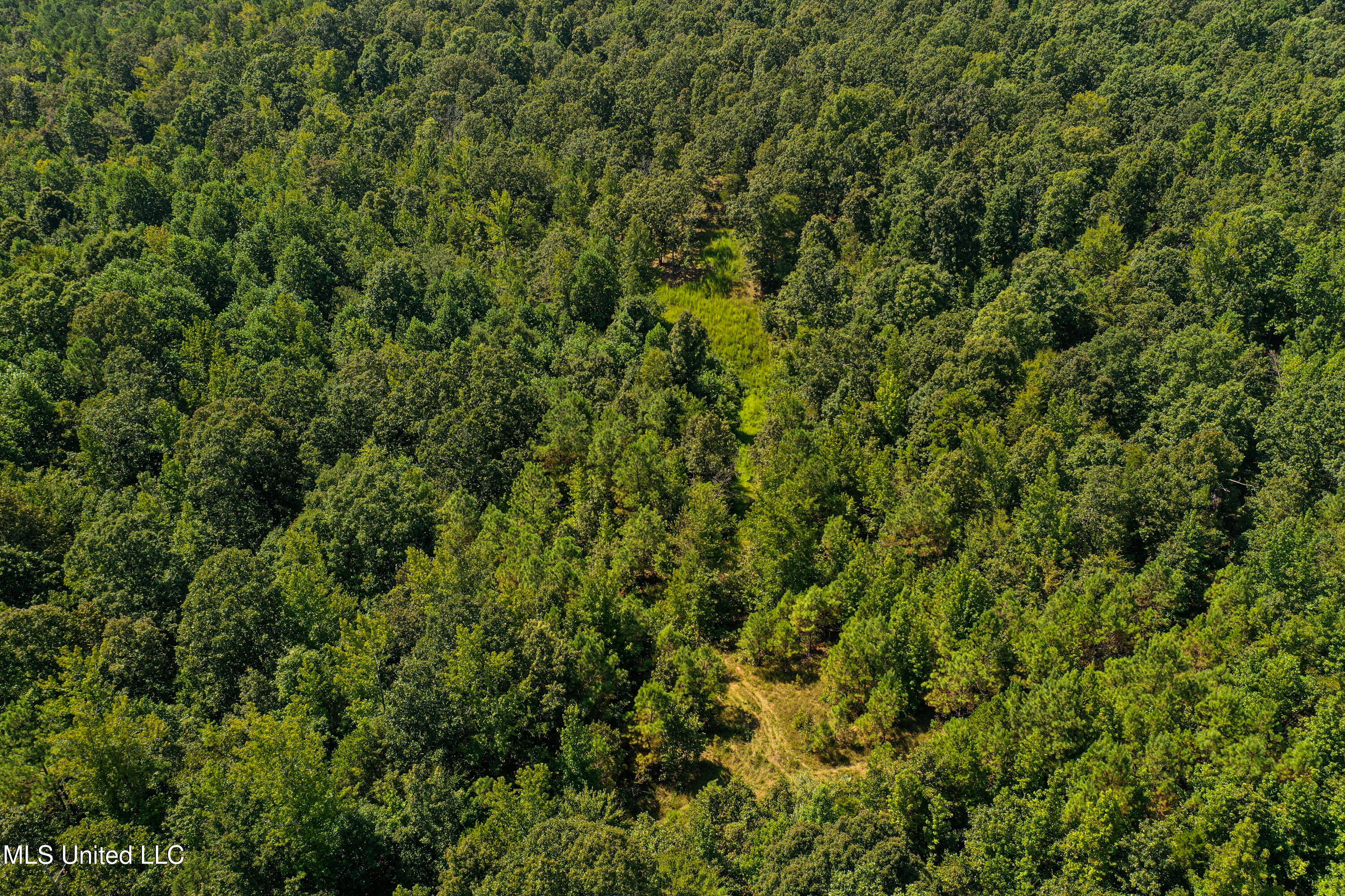 2295 Chapman Road Falkner, MS 38629 - Photo 28 of 48 DJI_0408