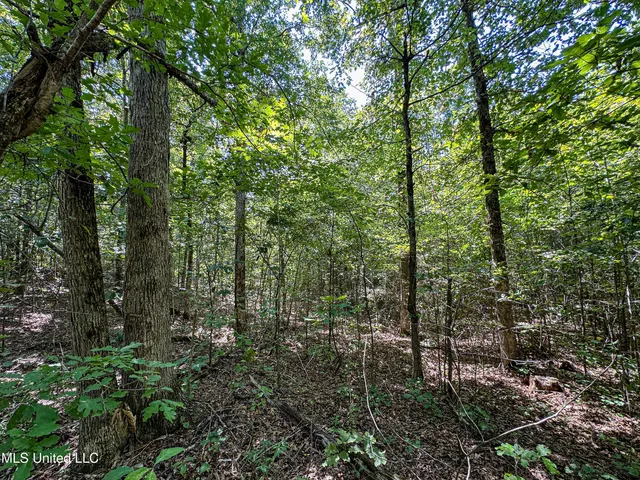 $355,000 | 2295 Chapman Road, Falkner, MS 38629