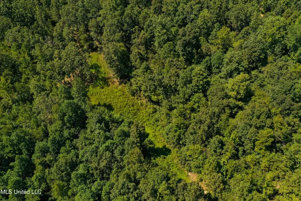 $355,000 | 2295 Chapman Road, Falkner, MS 38629