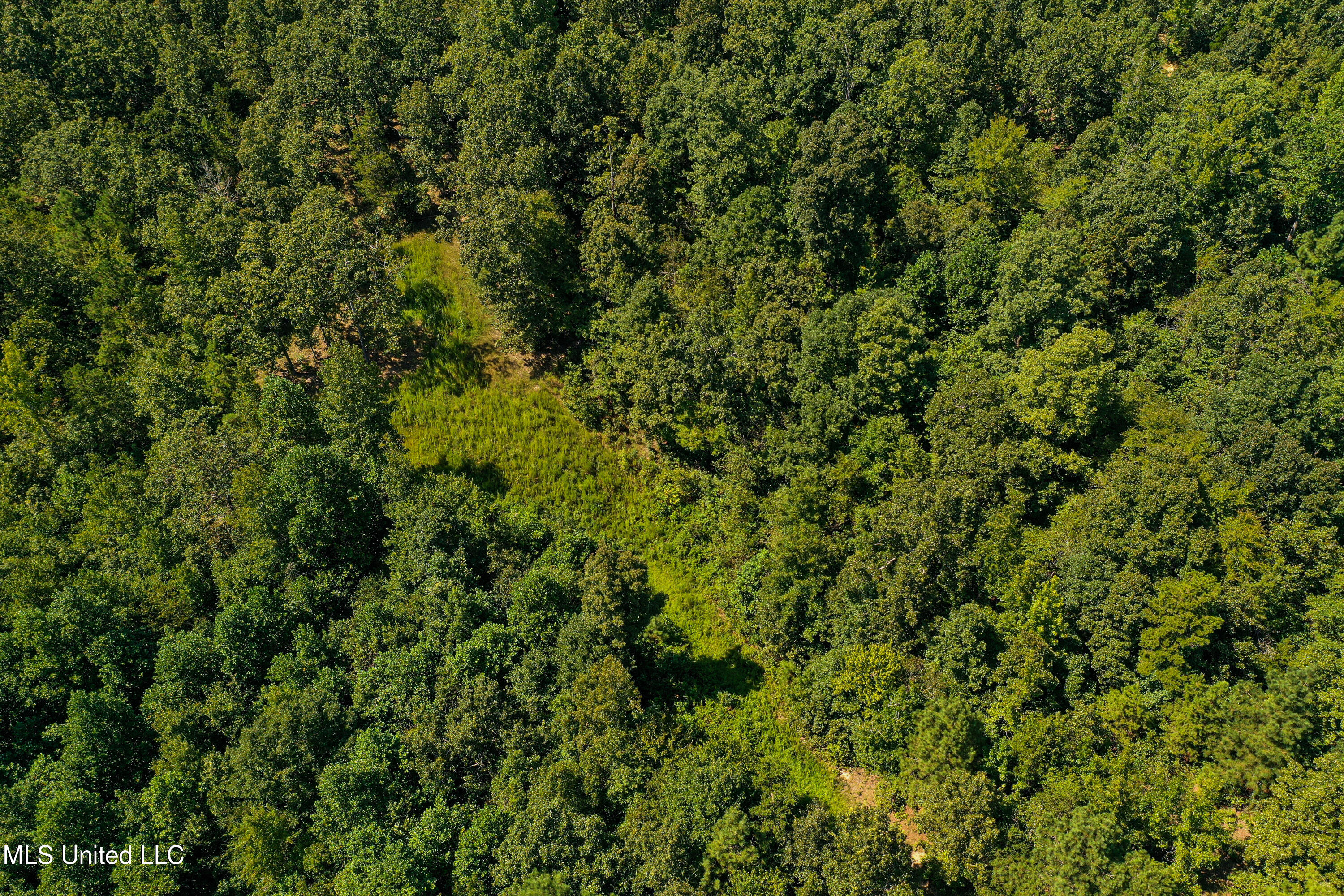 2295 Chapman Road Falkner, MS 38629 - Photo 30 of 48 DJI_0409