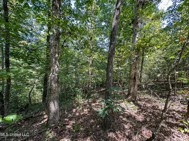 $355,000 | 2295 Chapman Road, Falkner, MS 38629