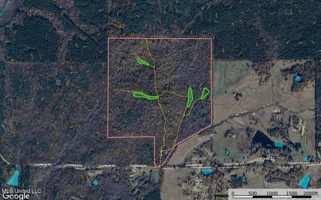 $355,000 | 2295 Chapman Road, Falkner, MS 38629