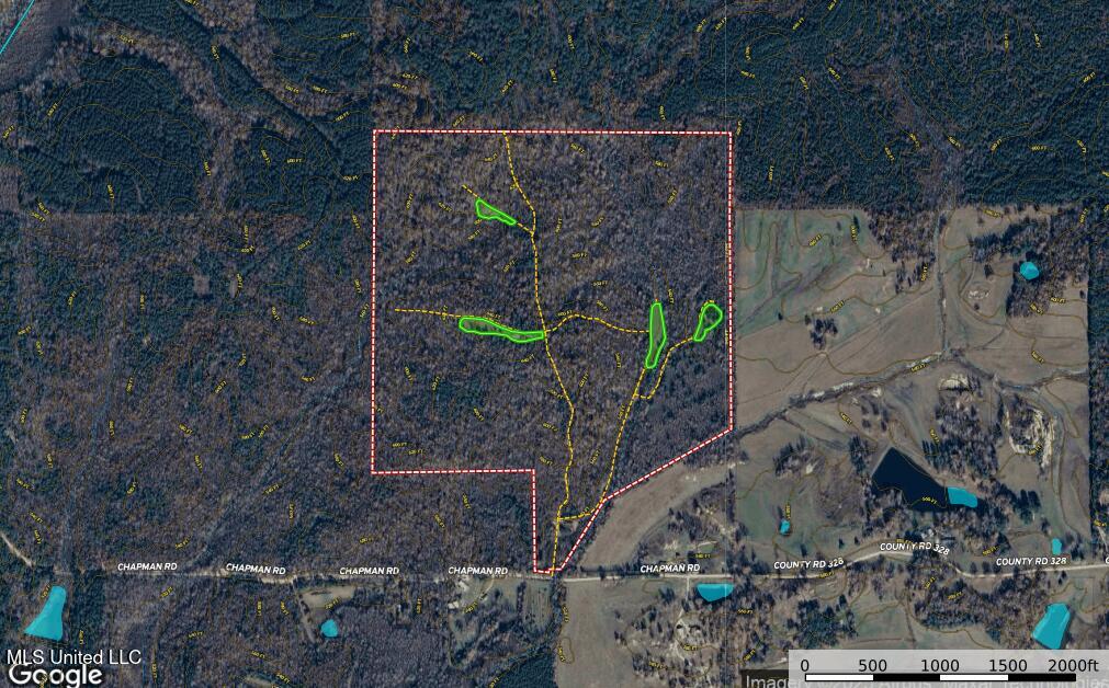 2295 Chapman Road Falkner, MS 38629 - Photo 3 of 48 Screenshot 2025-08-24 201917