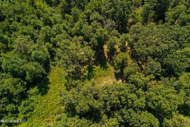 $355,000 | 2295 Chapman Road, Falkner, MS 38629