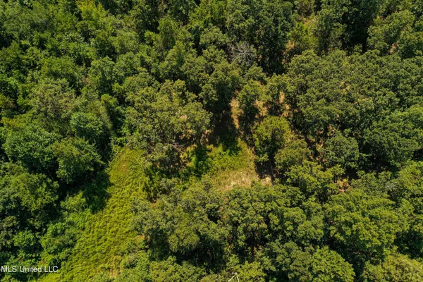 $355,000 | 2295 Chapman Road, Falkner, MS 38629