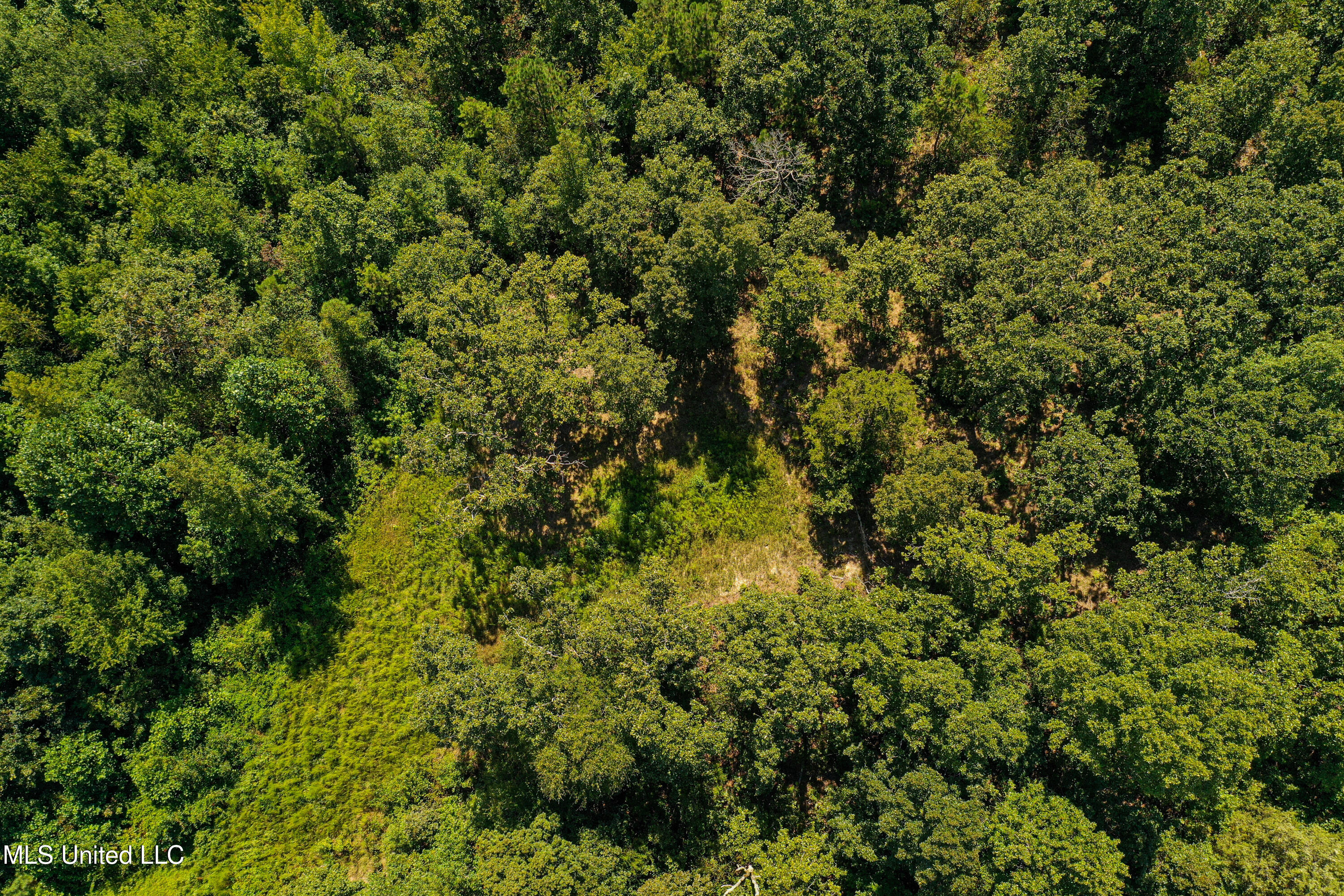2295 Chapman Road Falkner, MS 38629 - Photo 32 of 48 DJI_0410-2