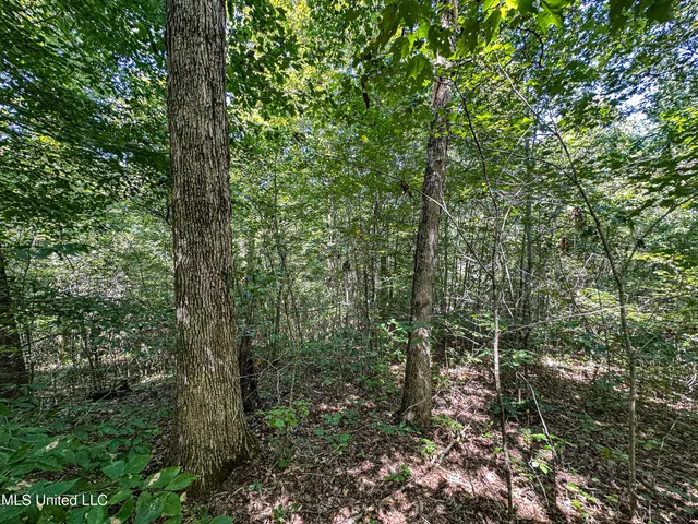 $355,000 | 2295 Chapman Road, Falkner, MS 38629