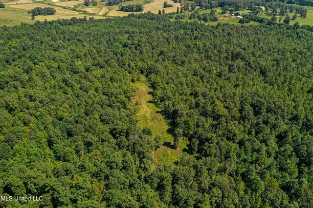 $355,000 | 2295 Chapman Road, Falkner, MS 38629