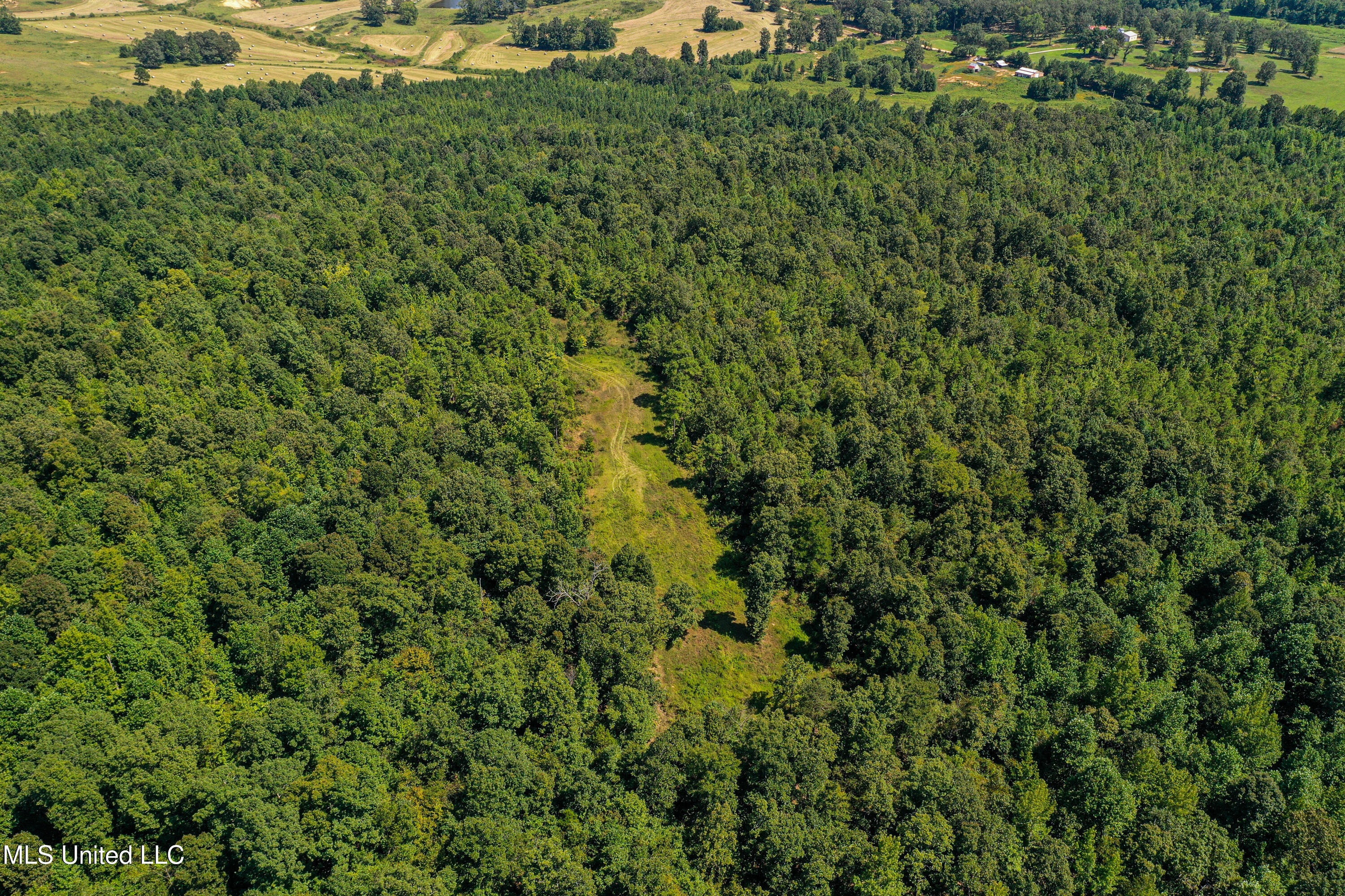 2295 Chapman Road Falkner, MS 38629 - Photo 33 of 48 DJI_0412