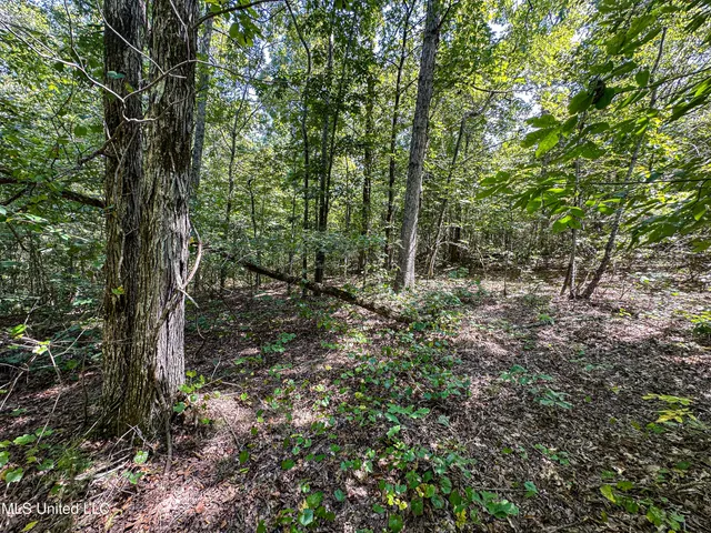 $355,000 | 2295 Chapman Road, Falkner, MS 38629