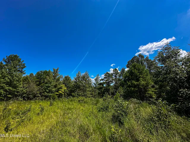 $355,000 | 2295 Chapman Road, Falkner, MS 38629