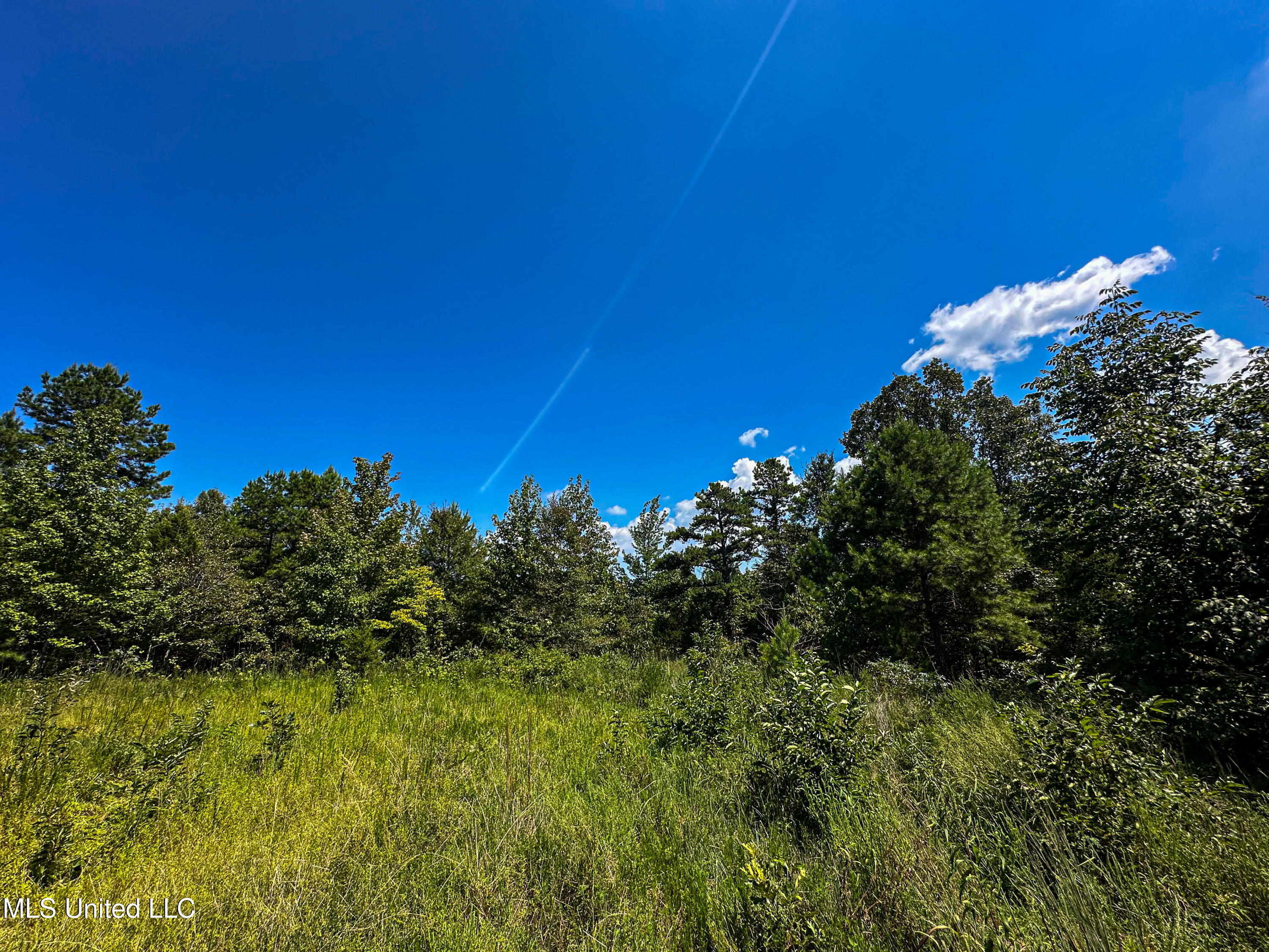 2295 Chapman Road Falkner, MS 38629 - Photo 36 of 48 IMG_5690