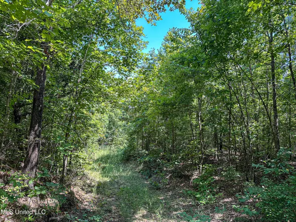 $355,000 | 2295 Chapman Road, Falkner, MS 38629