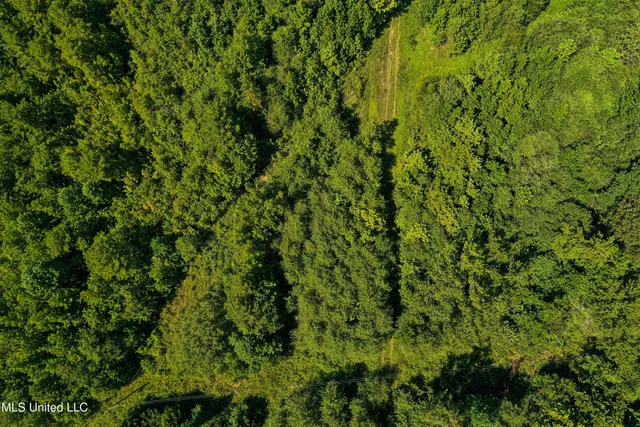 $355,000 | 2295 Chapman Road, Falkner, MS 38629