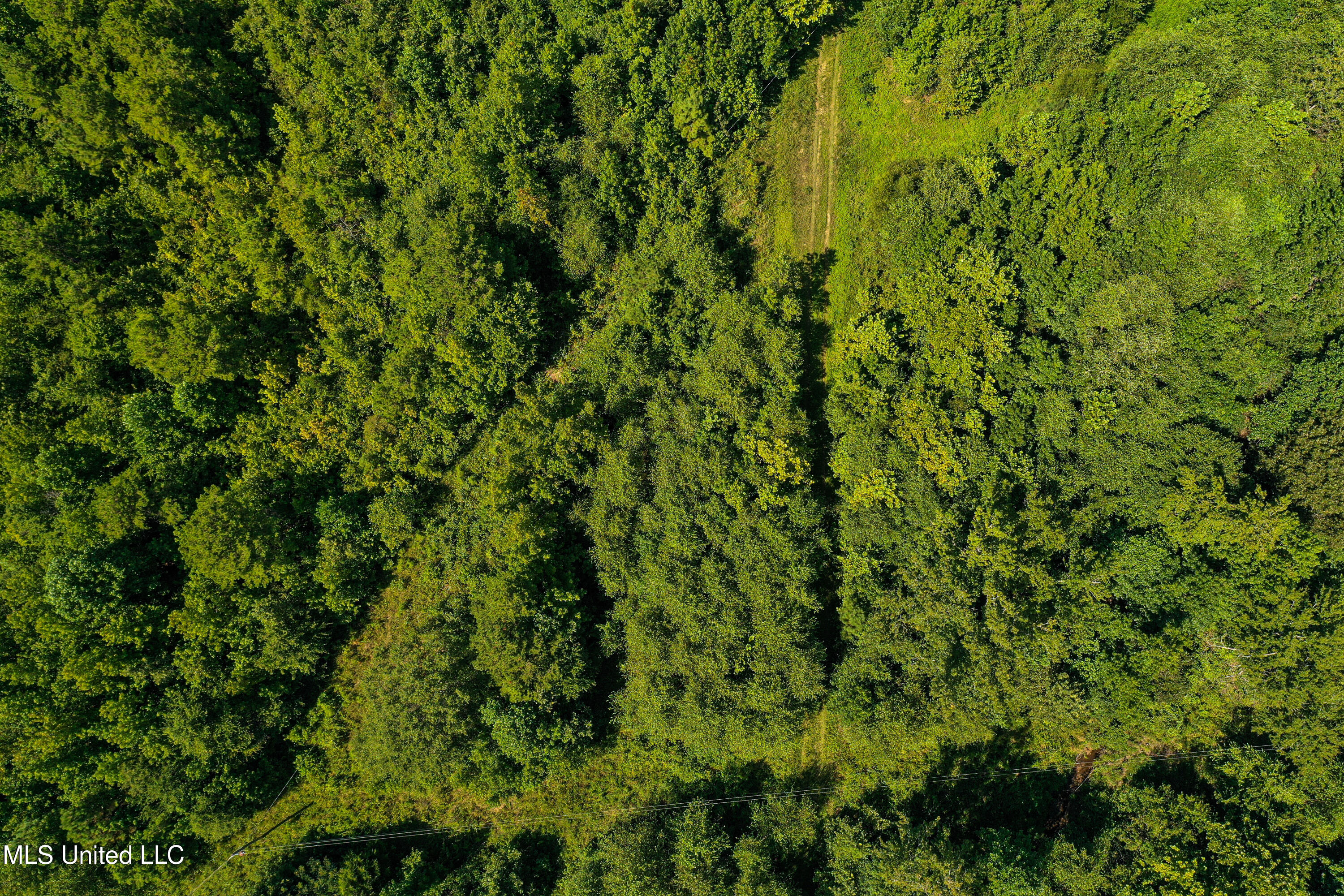 2295 Chapman Road Falkner, MS 38629 - Photo 39 of 48 DJI_0420-2