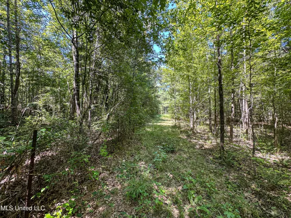 $355,000 | 2295 Chapman Road, Falkner, MS 38629