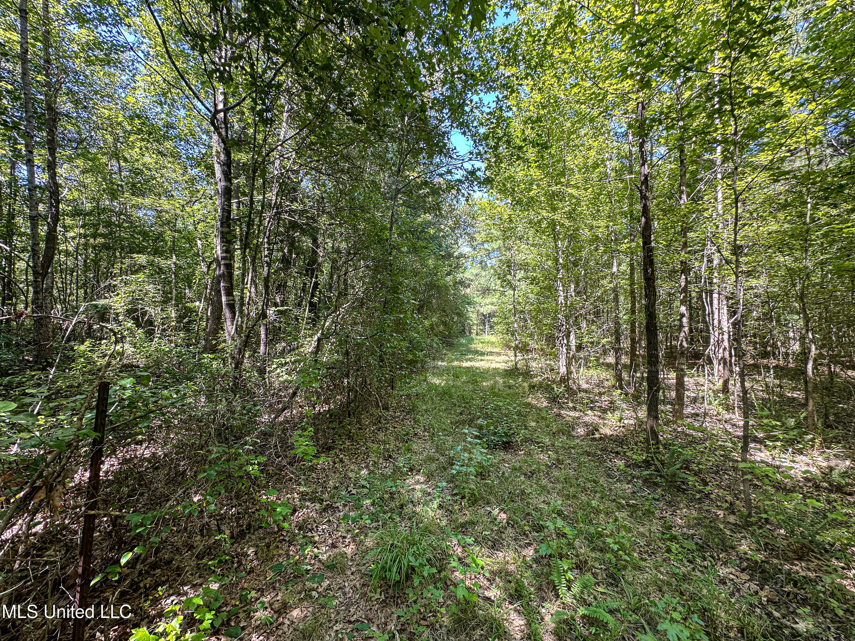 2295 Chapman Road Falkner, MS 38629 - Photo 40 of 48 IMG_5693