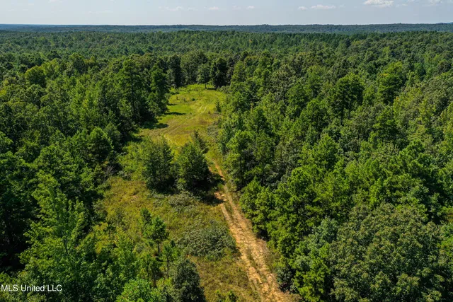$355,000 | 2295 Chapman Road, Falkner, MS 38629