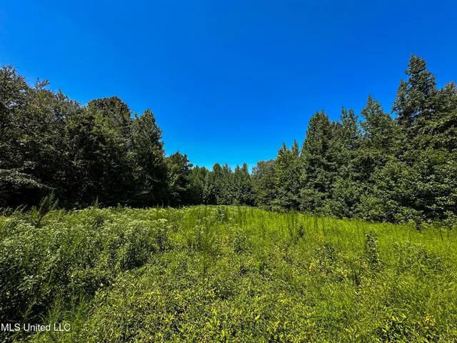 $355,000 | 2295 Chapman Road, Falkner, MS 38629