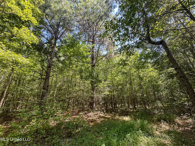 $355,000 | 2295 Chapman Road, Falkner, MS 38629