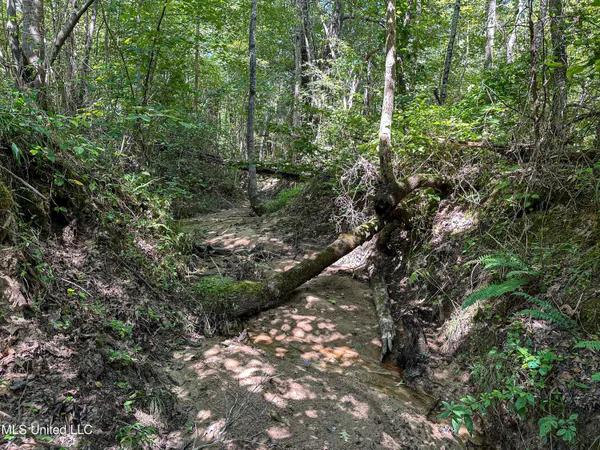 $355,000 | 2295 Chapman Road, Falkner, MS 38629