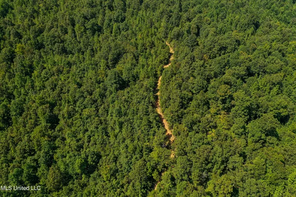 $355,000 | 2295 Chapman Road, Falkner, MS 38629