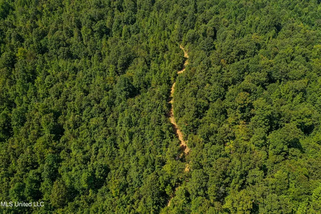 $355,000 | 2295 Chapman Road, Falkner, MS 38629