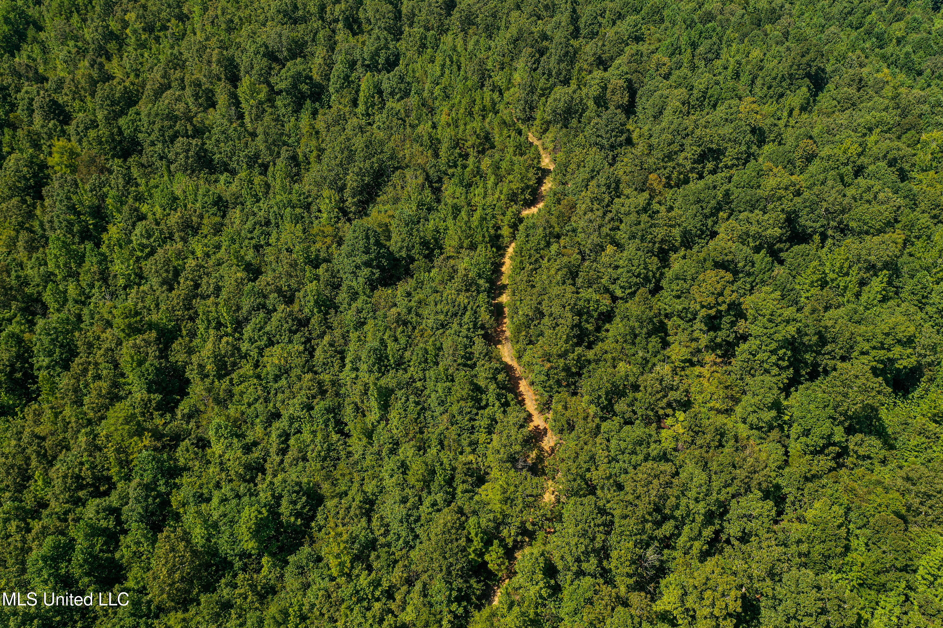 2295 Chapman Road Falkner, MS 38629 - Photo 45 of 48 DJI_0423