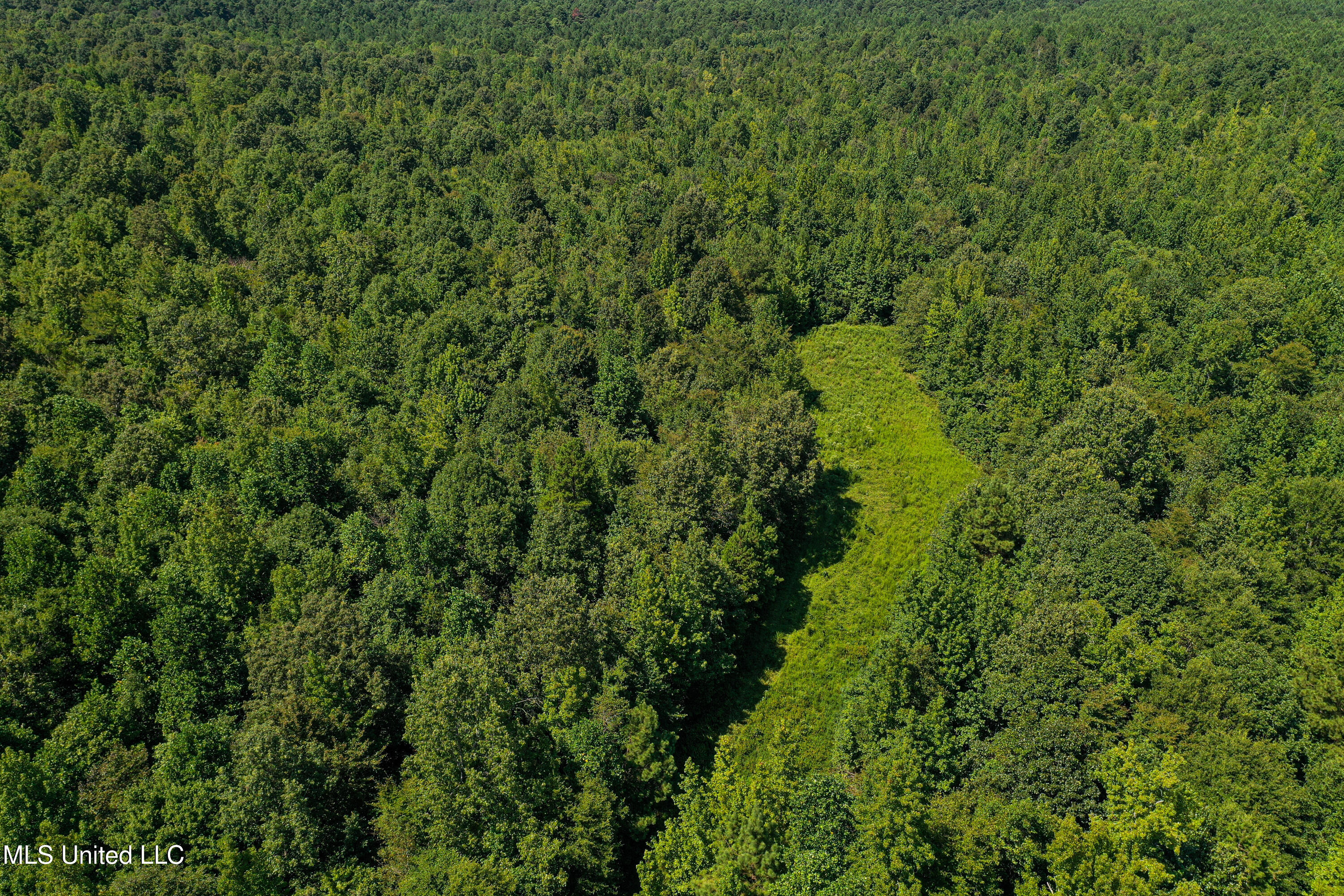 2295 Chapman Road Falkner, MS 38629 - Photo 6 of 48 DJI_0403