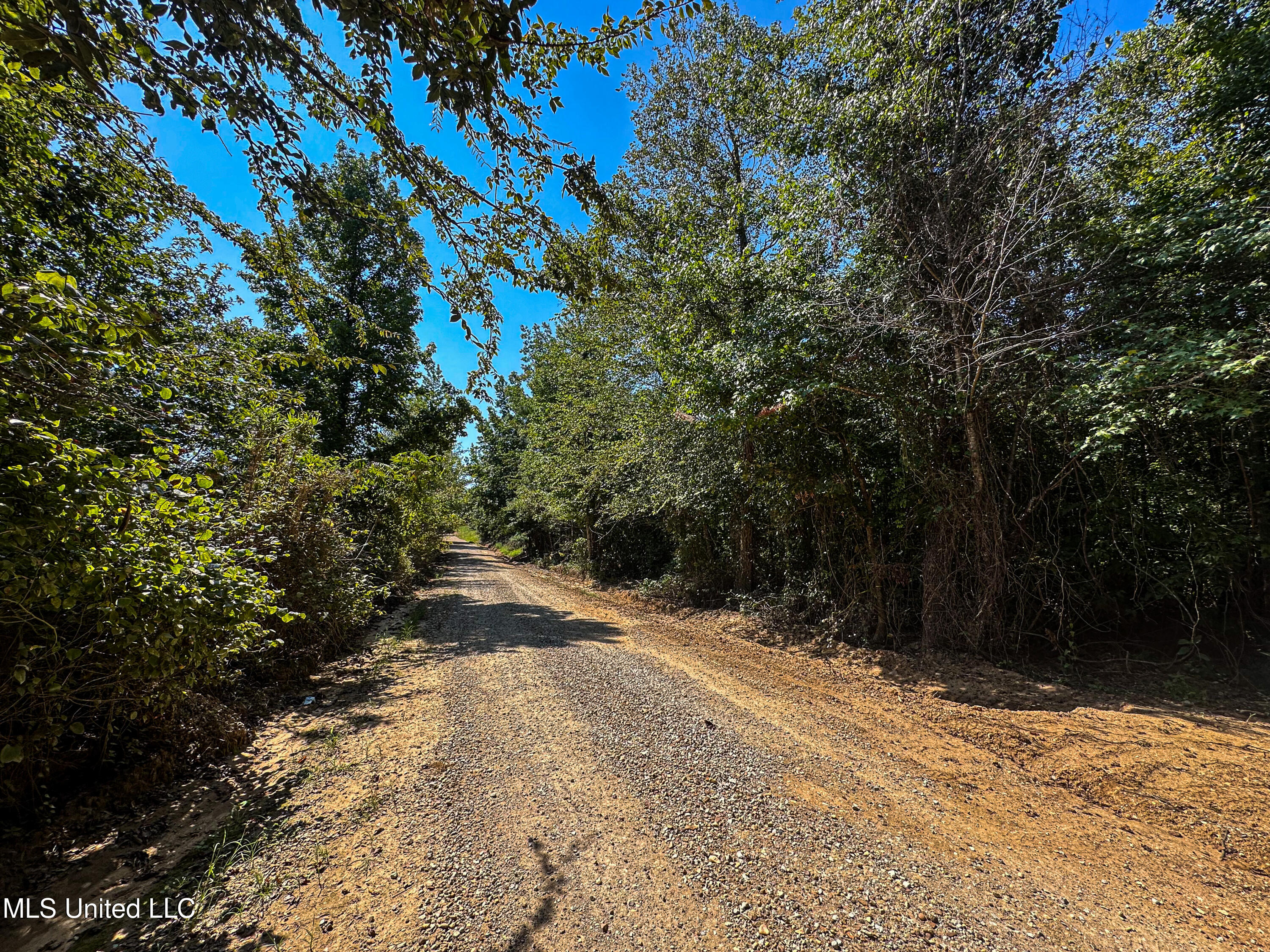 2295 Chapman Road Falkner, MS 38629 - Photo 7 of 48 IMG_5700