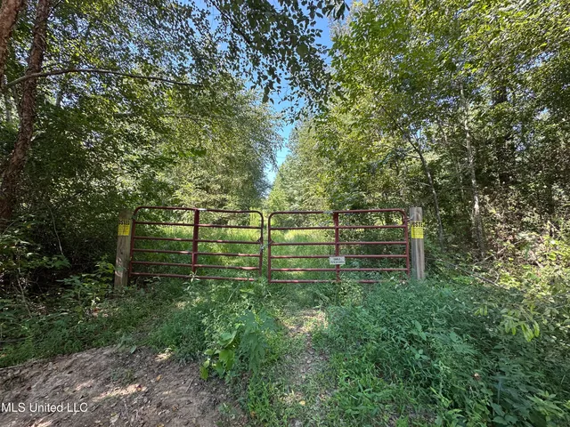 $355,000 | 2295 Chapman Road, Falkner, MS 38629