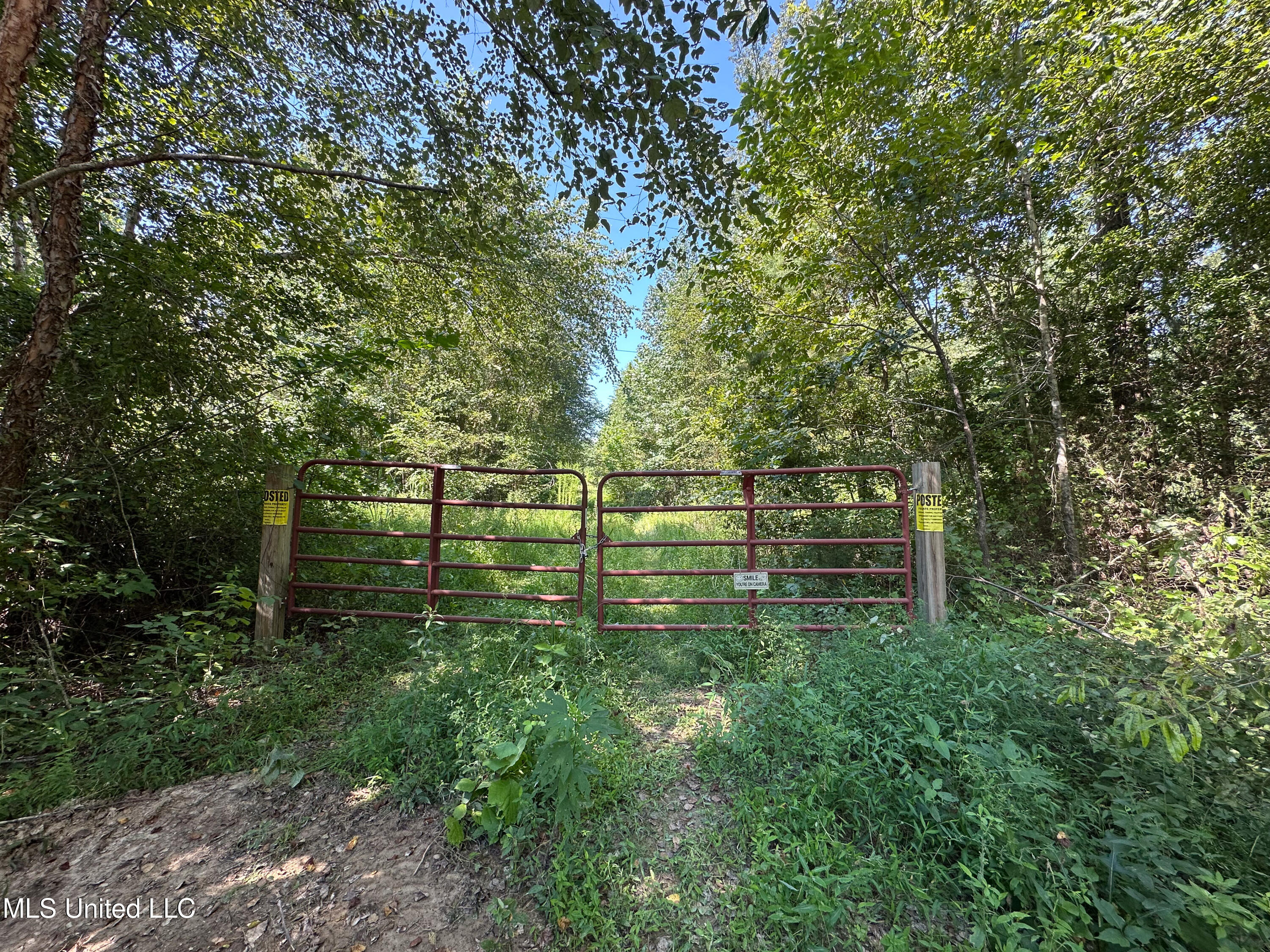 2295 Chapman Road Falkner, MS 38629 - Photo 8 of 48 IMG_5697