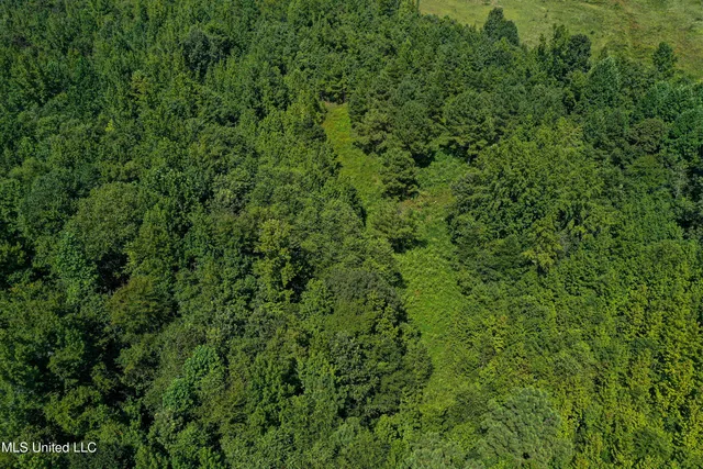 $355,000 | 2295 Chapman Road, Falkner, MS 38629