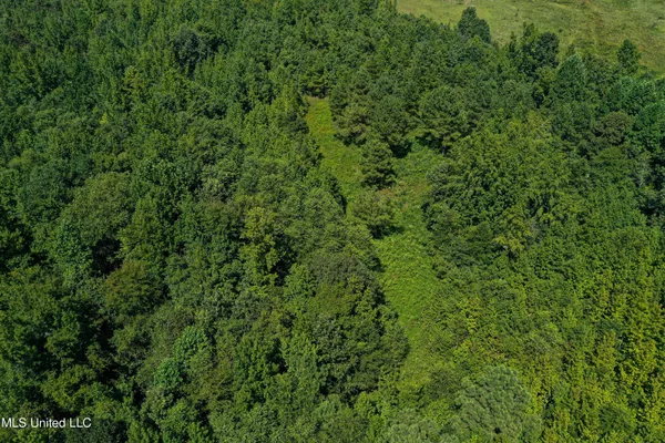 $355,000 | 2295 Chapman Road, Falkner, MS 38629