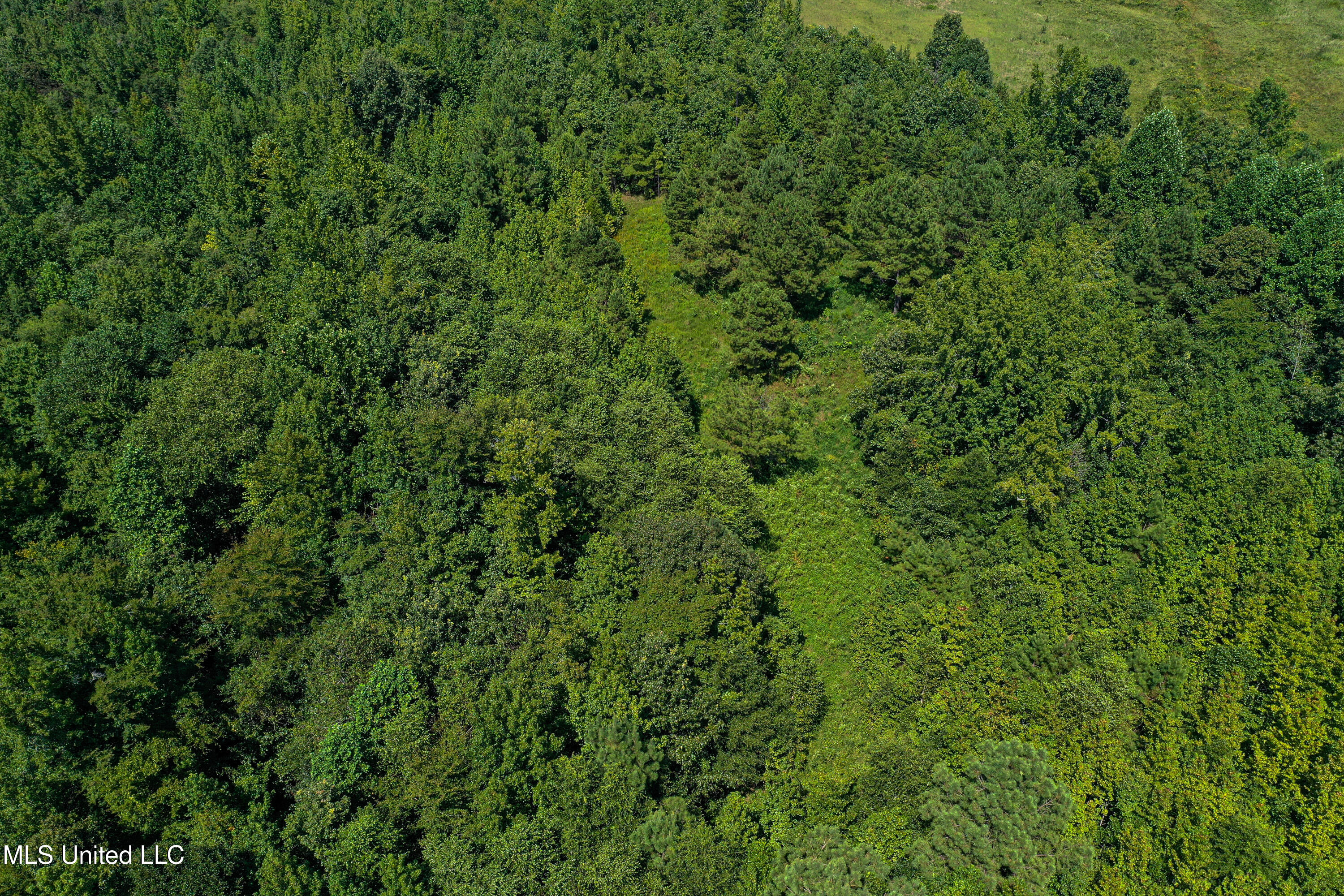 2295 Chapman Road Falkner, MS 38629 - Photo 10 of 48 DJI_0404