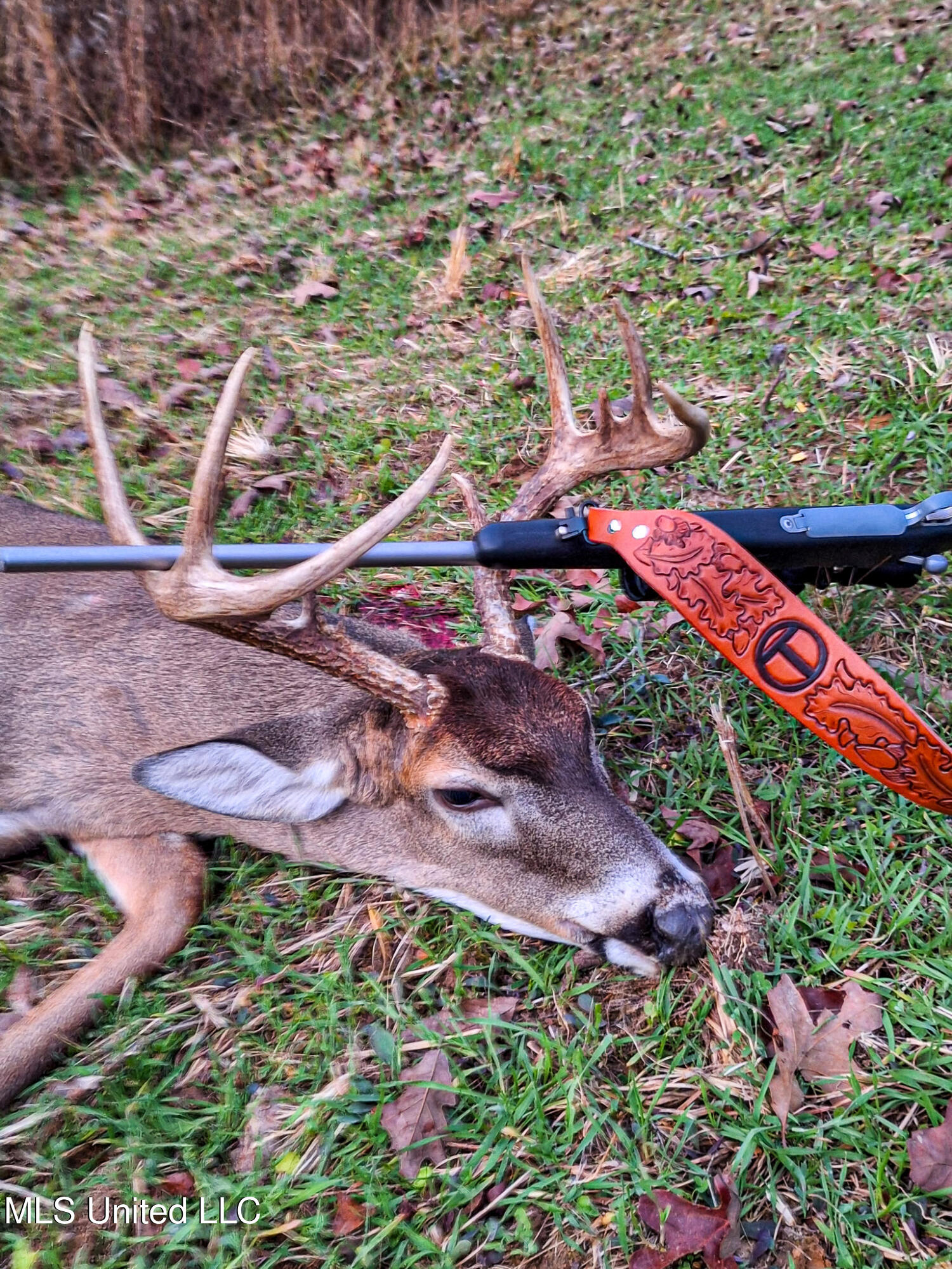 2295 Chapman Road Falkner, MS 38629 - Photo 10 of 48 7477942510852691086