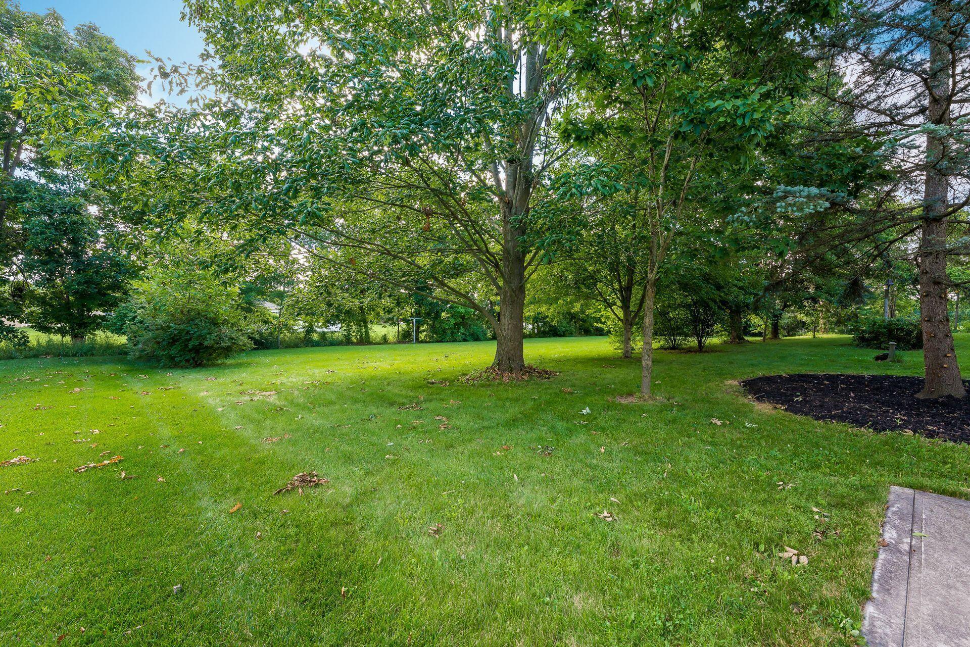 6617 Duffy Road Delaware, OH 43015 - Photo 13 of 52 Gallery Image 13