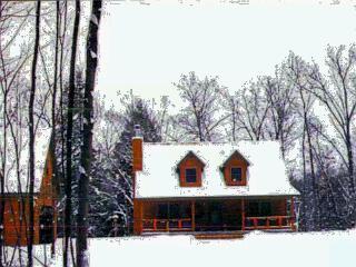 351 West Fruitvale Road Montague, MI 49437 - Photo 2 of 2 Additional Photo